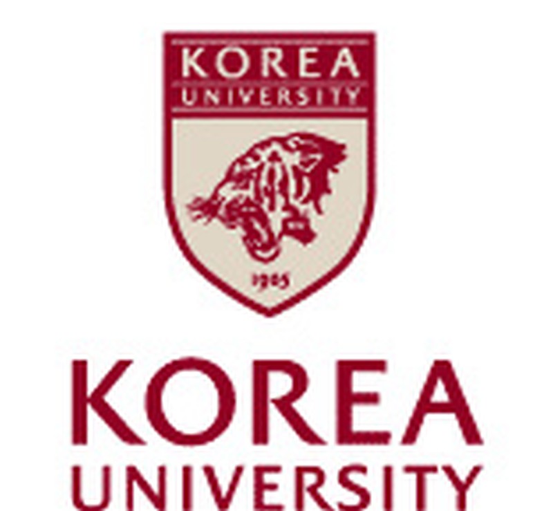 Korea University